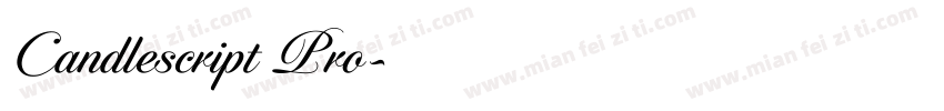 Candlescript Pro字体转换